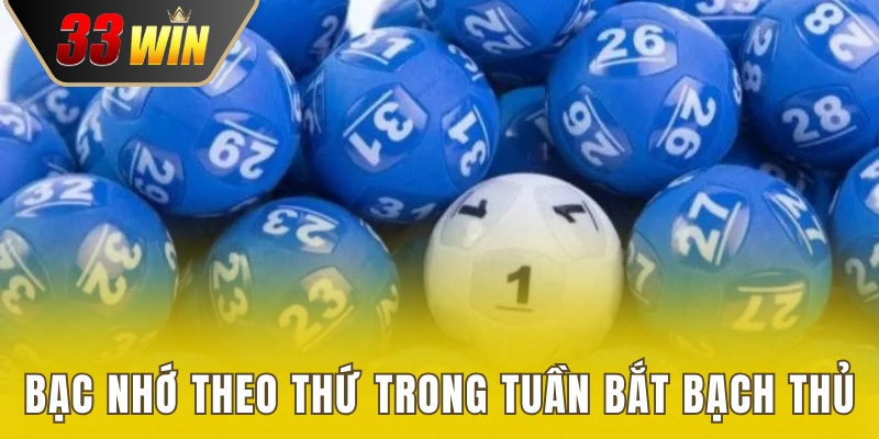 Bạch Thủ Lô Là Gì? Phương Pháp Bắt Bạch Thủ Bao Nổ 4 Dự đoán bạch thủ bằng bạc nhớ theo thứ