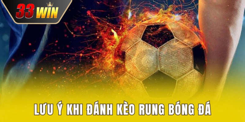 Kèo Rung Là Gì? Giải Mã Toàn Diện Từ Các Chuyên Gia 4 Lưu ý khi cược rung tối đa hóa lợi nhuận