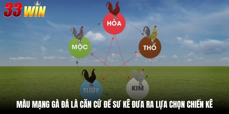 Màu Mạng Gà Đá - Lựa Chọn Chiến Kê Từ Chuyên Gia 2 Màu mạng gà đá là căn cứ để sư kê đưa ra lựa chọn chiến kê