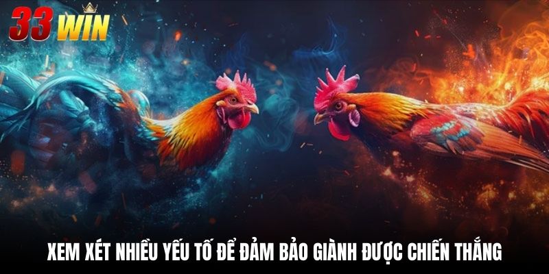 Màu Mạng Gà Đá - Lựa Chọn Chiến Kê Từ Chuyên Gia 4 Xem xét nhiều yếu tố để đảm bảo giành được chiến thắng